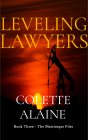Leveling Lawyers 2nd edition